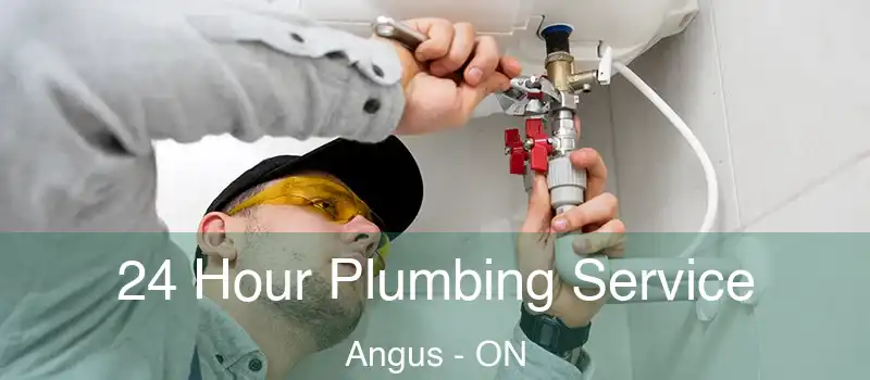  24 Hour Plumbing Service Angus - ON