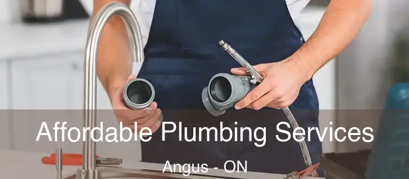  Affordable Plumbing Services Angus - ON