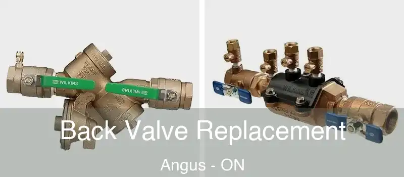  Back Valve Replacement Angus - ON