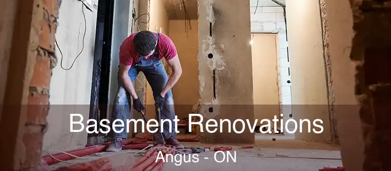  Basement Renovations Angus - ON