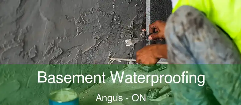  Basement Waterproofing Angus - ON