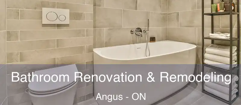  Bathroom Renovation & Remodeling Angus - ON