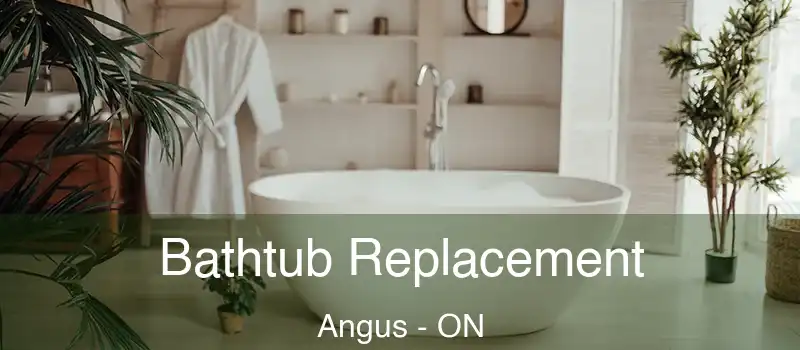  Bathtub Replacement Angus - ON