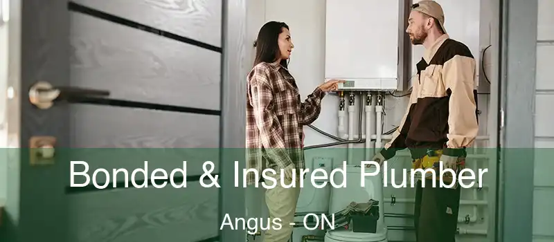  Bonded & Insured Plumber Angus - ON