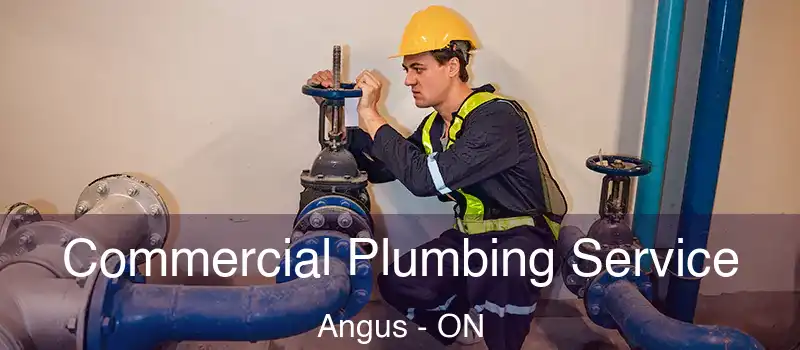  Commercial Plumbing Service Angus - ON