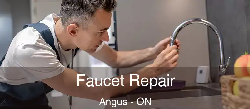  Faucet Repair Angus - ON