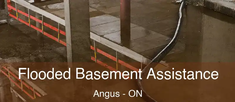  Flooded Basement Assistance Angus - ON
