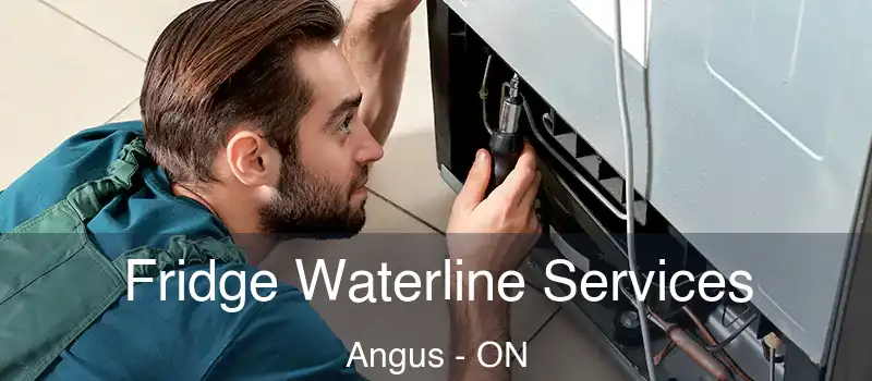  Fridge Waterline Services Angus - ON