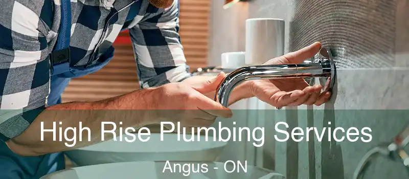 High Rise Plumbing Services Angus - ON