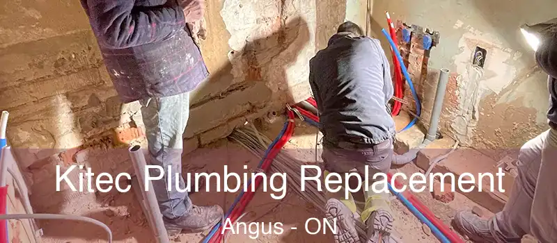 Kitec Plumbing Replacement Angus - ON