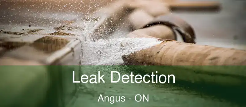  Leak Detection Angus - ON
