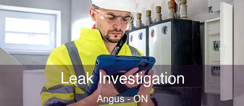  Leak Investigation Angus - ON