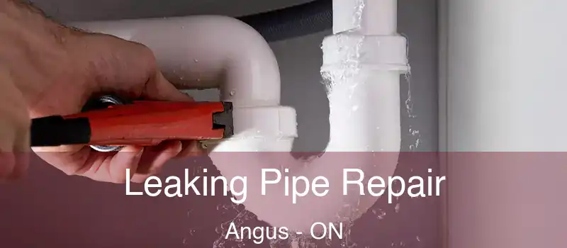  Leaking Pipe Repair Angus - ON