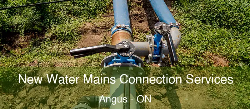  New Water Mains Connection Services Angus - ON