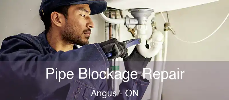  Pipe Blockage Repair Angus - ON