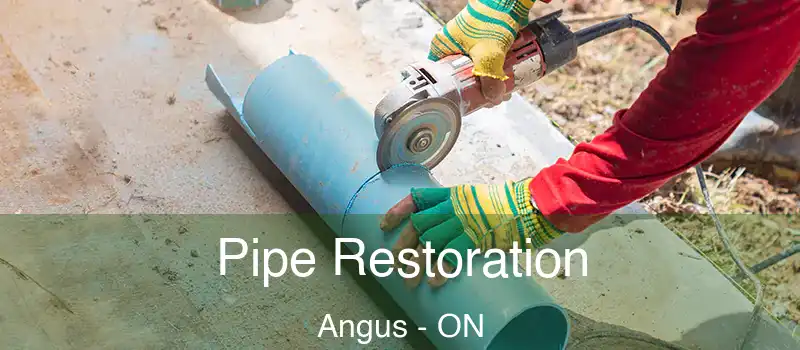  Pipe Restoration Angus - ON