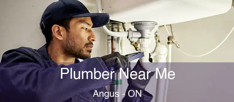  Plumber Near Me Angus - ON