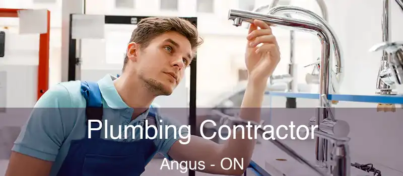  Plumbing Contractor Angus - ON