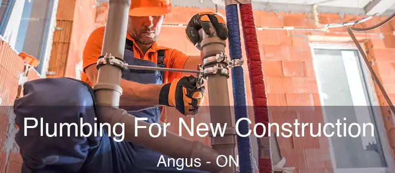  Plumbing For New Construction Angus - ON