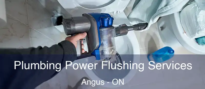  Plumbing Power Flushing Services Angus - ON