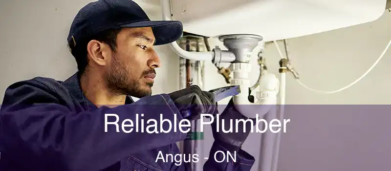  Reliable Plumber Angus - ON