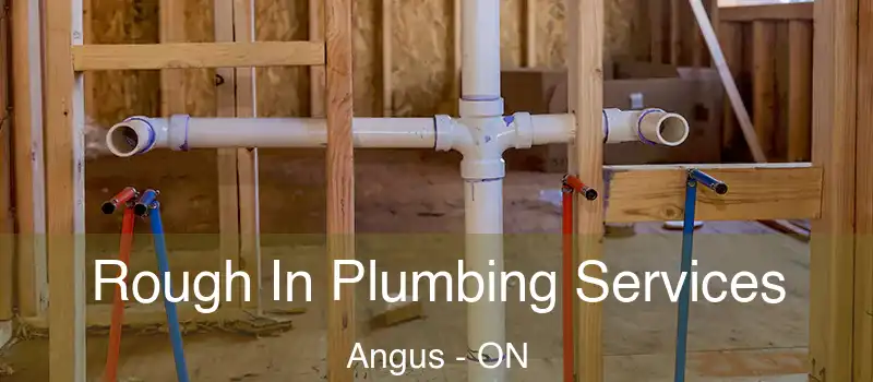  Rough In Plumbing Services Angus - ON