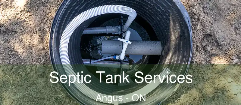  Septic Tank Services Angus - ON