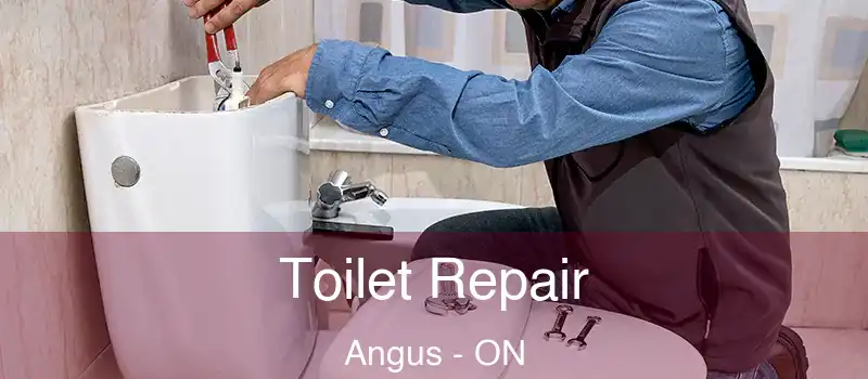  Toilet Repair Angus - ON