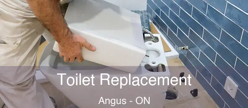  Toilet Replacement Angus - ON