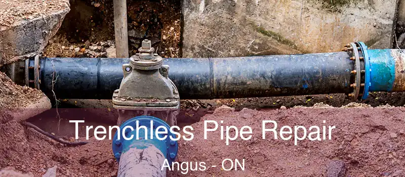  Trenchless Pipe Repair Angus - ON