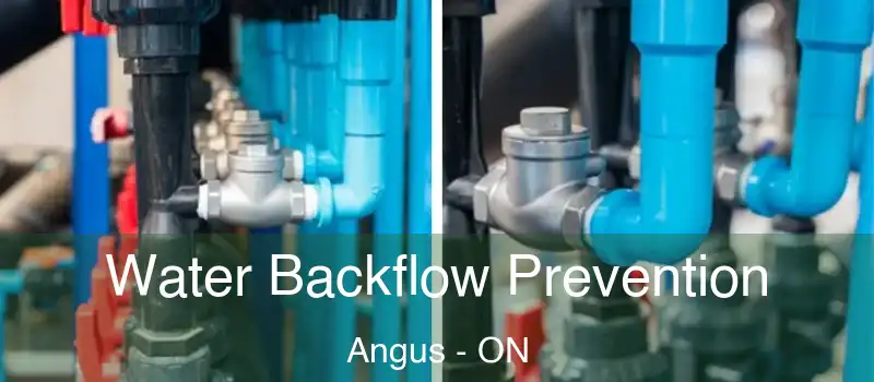  Water Backflow Prevention Angus - ON