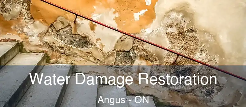  Water Damage Restoration Angus - ON