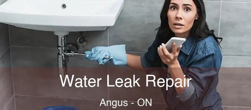  Water Leak Repair Angus - ON