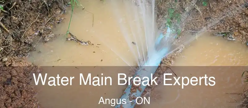  Water Main Break Experts Angus - ON