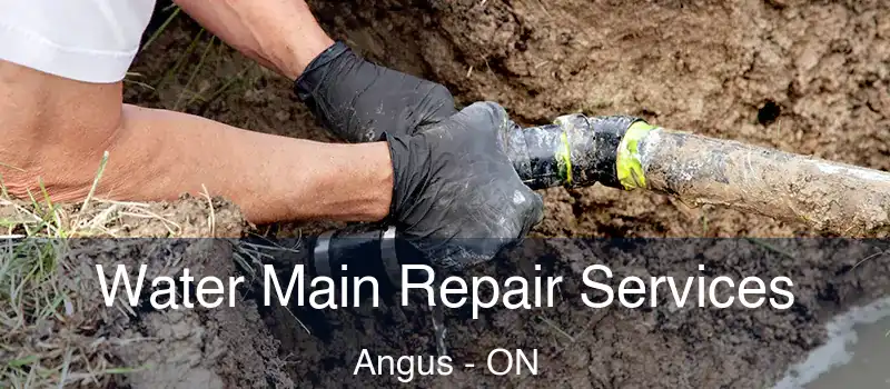  Water Main Repair Services Angus - ON